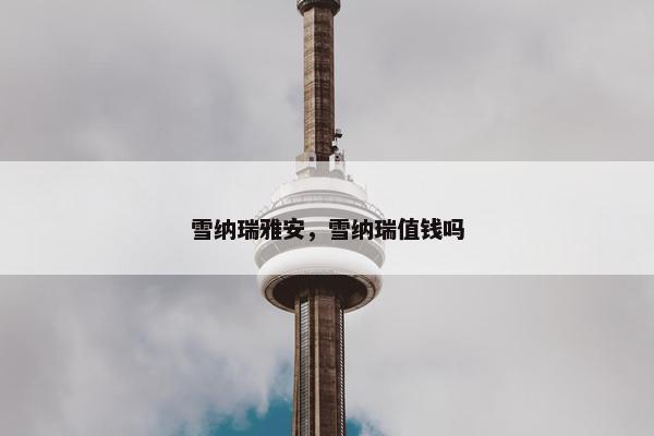 雪纳瑞 第5页