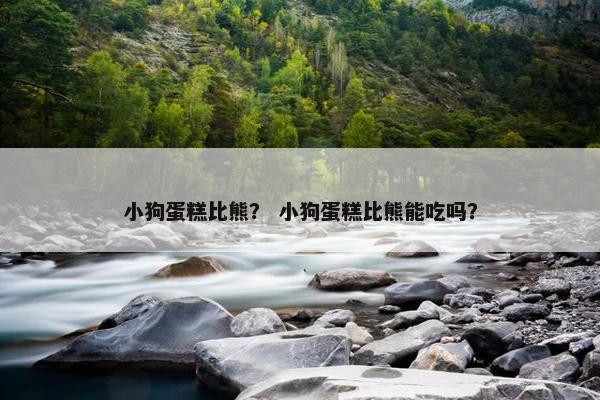 棒棒糖