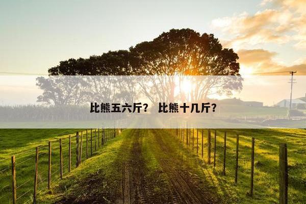 比熊五六斤？ 比熊十几斤？