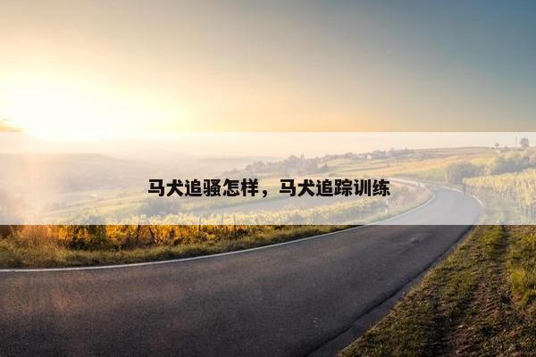 马犬追骚怎样，马犬追踪训练