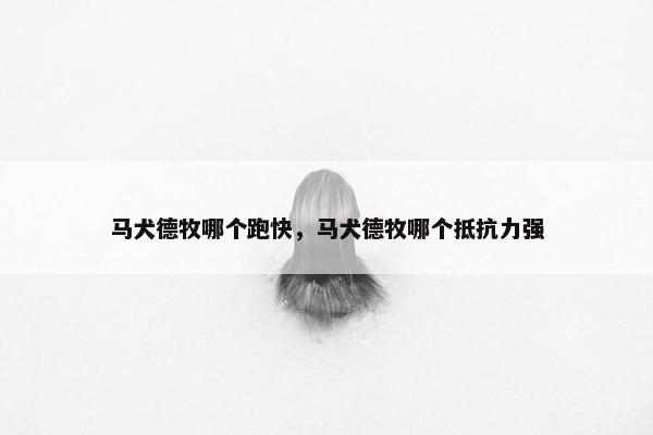 马犬德牧哪个跑快，马犬德牧哪个抵抗力强