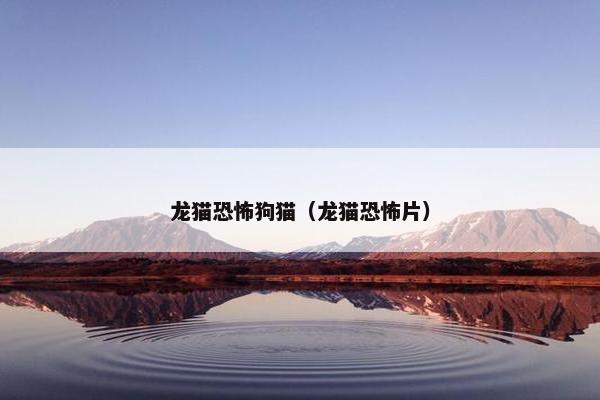 龙猫恐怖狗猫（龙猫恐怖片）