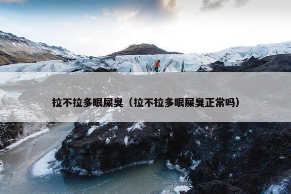 拉不拉多眼屎臭(拉不拉多眼屎臭正常吗)