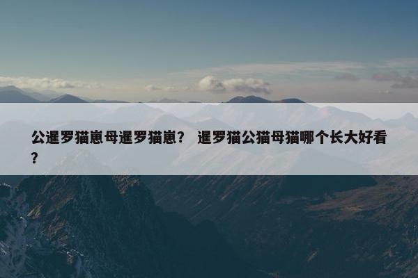 公暹罗猫崽母暹罗猫崽？ 暹罗猫公猫母猫哪个长大好看？