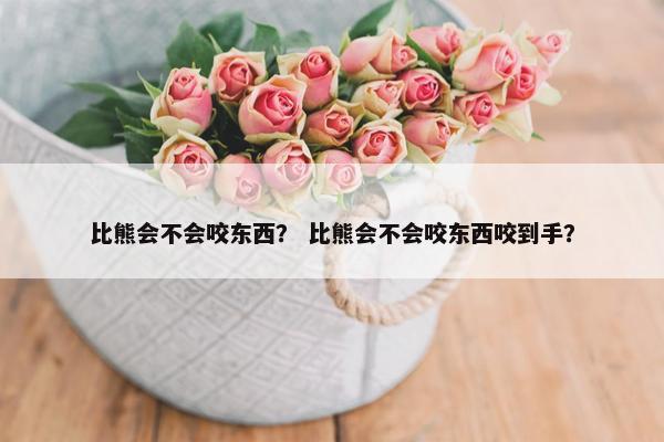比熊会不会咬东西？ 比熊会不会咬东西咬到手？