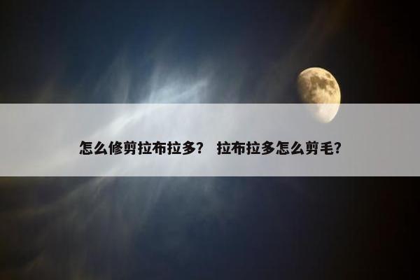 怎么修剪拉布拉多？ 拉布拉多怎么剪毛？