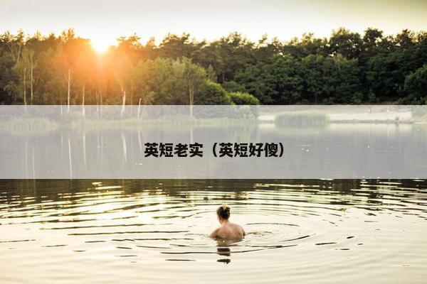 英短老实（英短好傻）