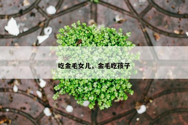 生命