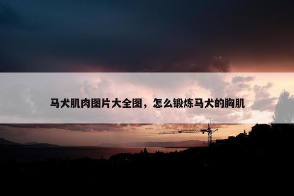 肌肉