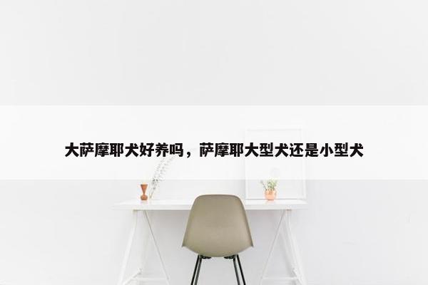 大萨摩耶犬好养吗，萨摩耶大型犬还是小型犬