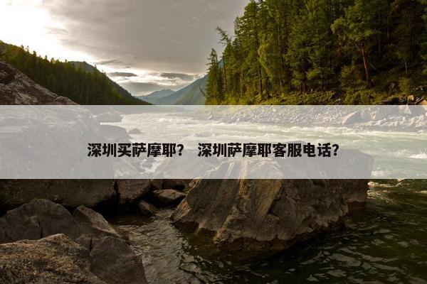 深圳买萨摩耶？ 深圳萨摩耶客服电话？
