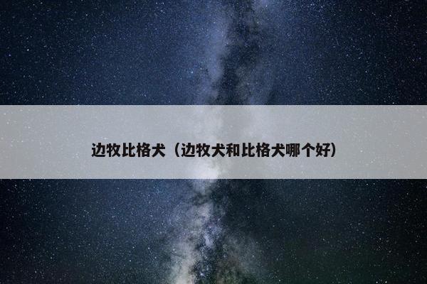 边牧比格犬（边牧犬和比格犬哪个好）
