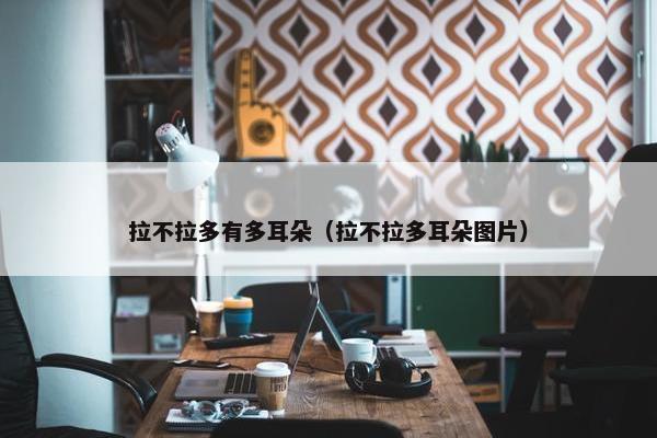 拉不拉多有多耳朵（拉不拉多耳朵图片）