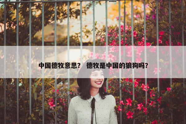 中国德牧意思? 德牧是中国的狼狗吗?