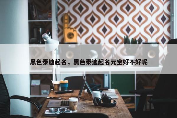 黑色泰迪起名，黑色泰迪起名元宝好不好呢