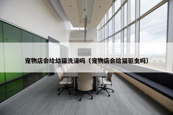 宠物店会给幼猫洗澡吗(宠物店会给猫驱虫吗)