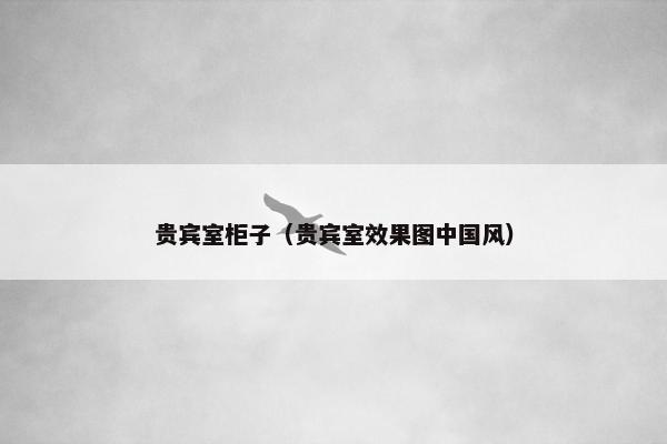 贵宾室柜子（贵宾室效果图中国风）