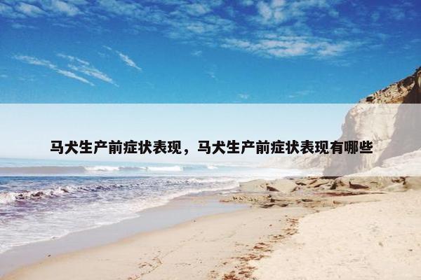 马犬生产前症状表现，马犬生产前症状表现有哪些