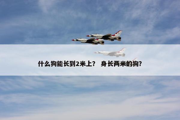 什么狗能长到2米上？ 身长两米的狗？