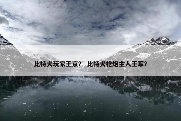 冠军