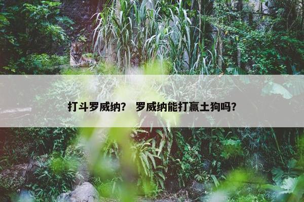 打斗罗威纳? 罗威纳能打赢土狗吗?