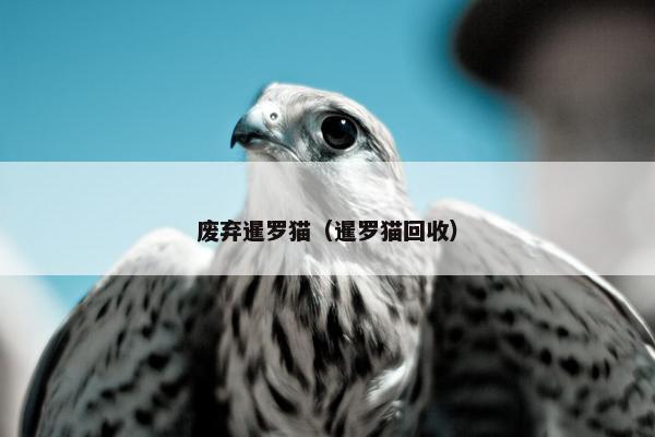 废弃暹罗猫（暹罗猫回收）