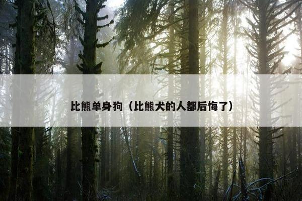 比熊单身狗（比熊犬的人都后悔了）