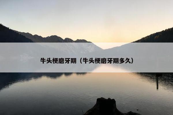 牛头梗磨牙期（牛头梗磨牙期多久）