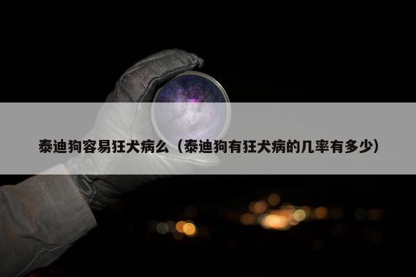 泰迪狗容易狂犬病么（泰迪狗有狂犬病的几率有多少）