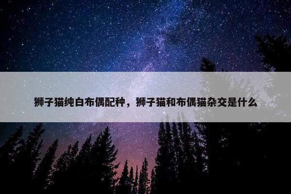 狮子猫纯白布偶配种，狮子猫和布偶猫杂交是什么