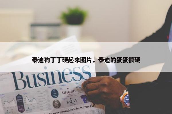 泰迪狗丁丁硬起来图片，泰迪的蛋蛋很硬