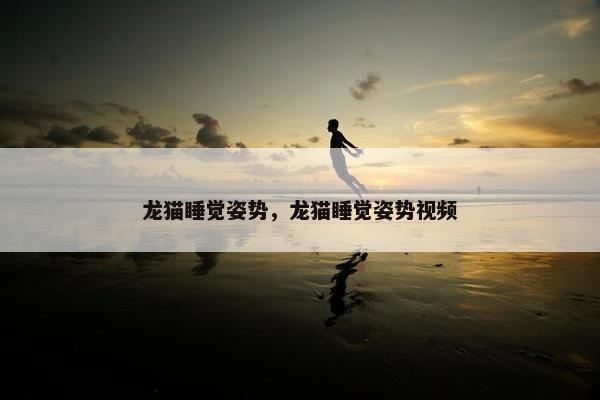龙猫睡觉姿势，龙猫睡觉姿势视频