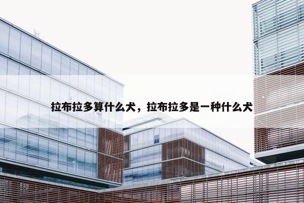 拉布拉多算什么犬，拉布拉多是一种什么犬