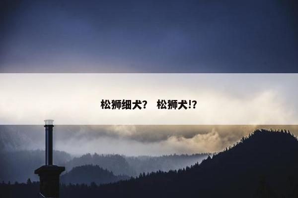 松狮细犬？ 松狮犬!？