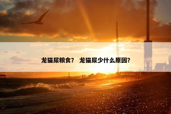 龙猫尿粮食？ 龙猫尿少什么原因？