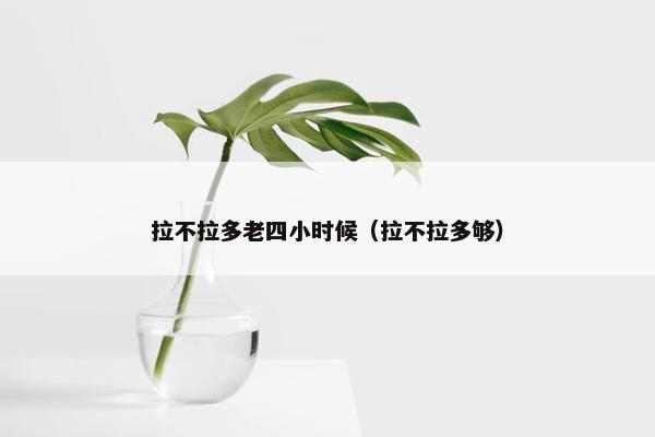 拉不拉多老四小时候（拉不拉多够）
