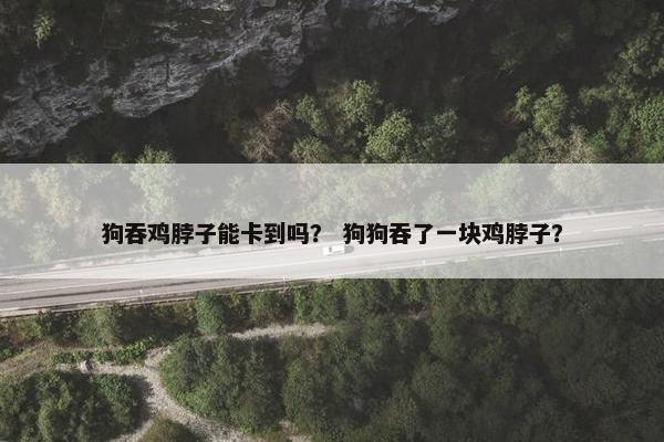 狗吞鸡脖子能卡到吗? 狗狗吞了一块鸡脖子?