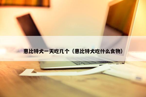 惠比特犬一天吃几个（惠比特犬吃什么食物）