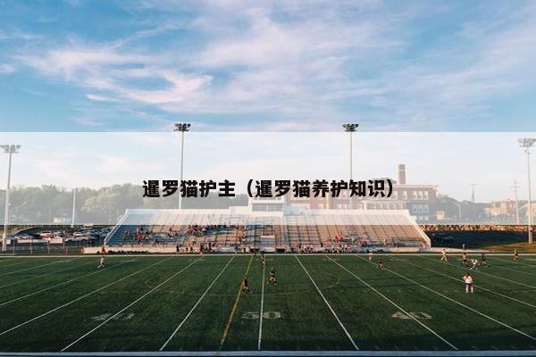 暹罗猫护主（暹罗猫养护知识）