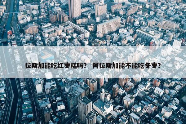 拉斯加能吃红枣糕吗？ 阿拉斯加能不能吃冬枣？
