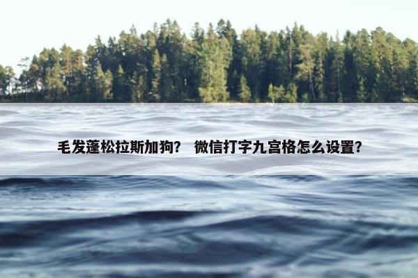 毛发蓬松拉斯加狗？ 微信打字九宫格怎么设置？