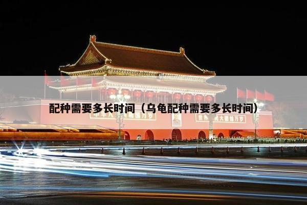 配种需要多长时间（乌龟配种需要多长时间）