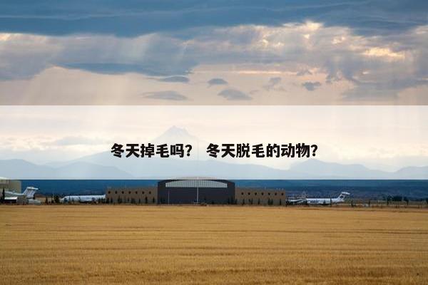 冬天掉毛吗？ 冬天脱毛的动物？
