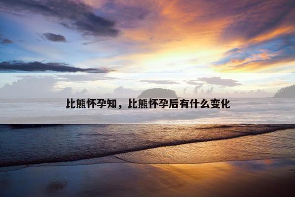 比熊怀孕知，比熊怀孕后有什么变化