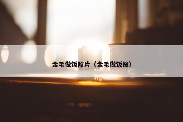 金毛做饭照片（金毛做饭图）