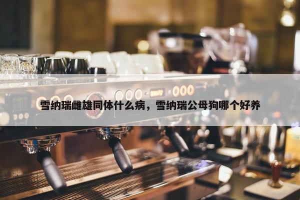 雪纳瑞雌雄同体什么病，雪纳瑞公母狗哪个好养