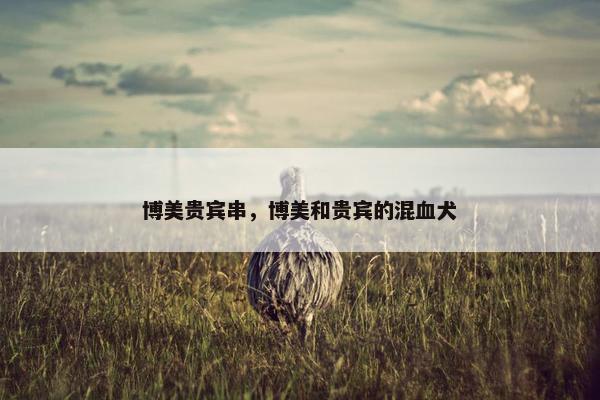 博美贵宾串，博美和贵宾的混血犬
