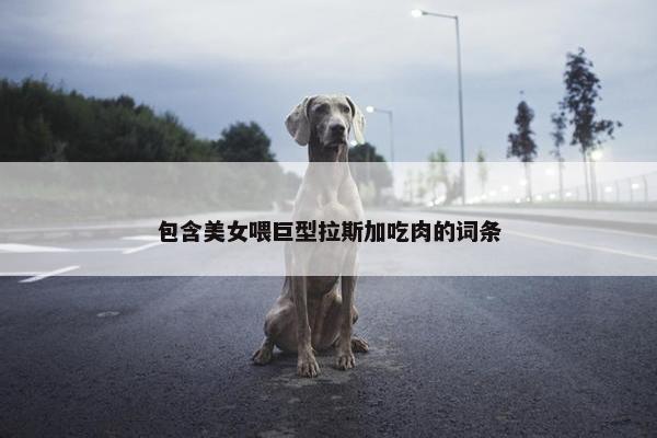 包含美女喂巨型拉斯加吃肉的词条