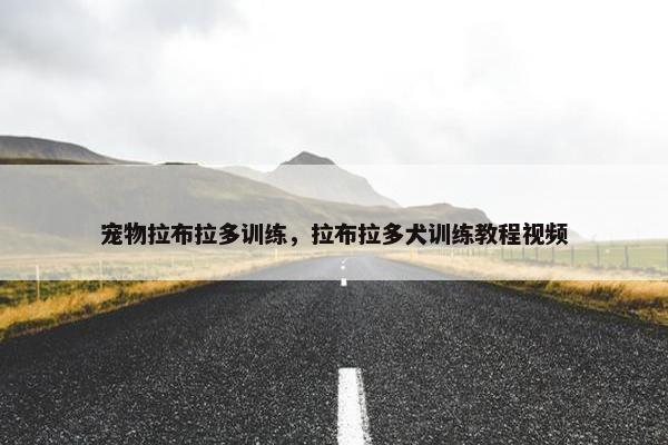 宠物拉布拉多训练，拉布拉多犬训练教程视频