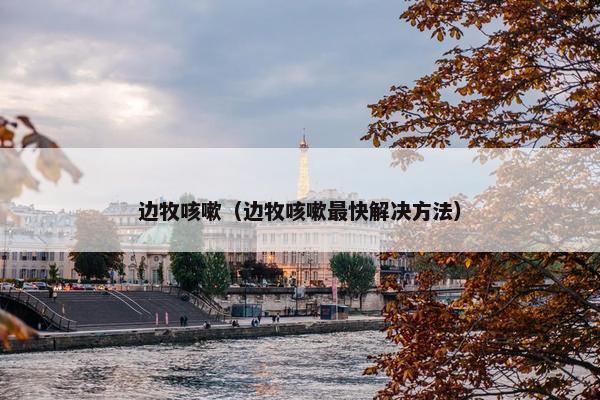 边牧咳嗽（边牧咳嗽最快解决方法）